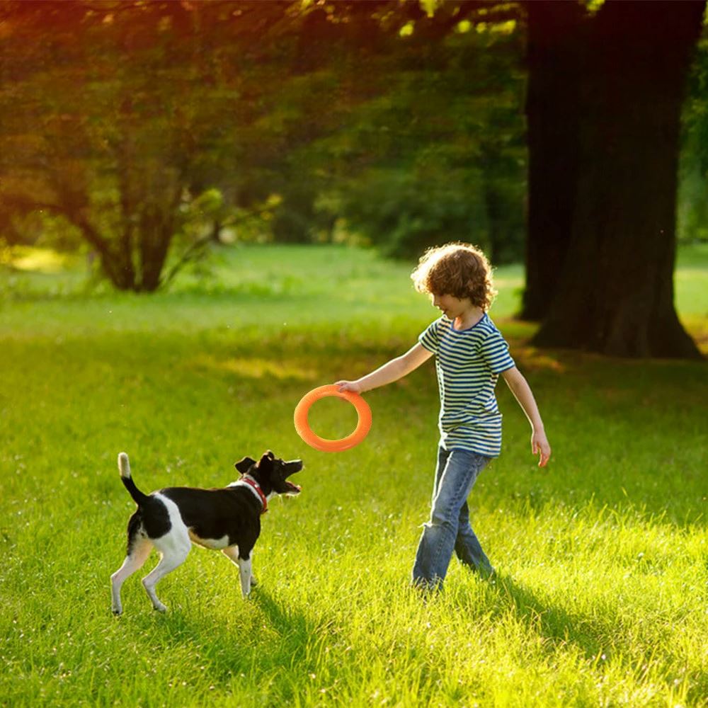 DogTrainingRing™ - L'abc du Chien