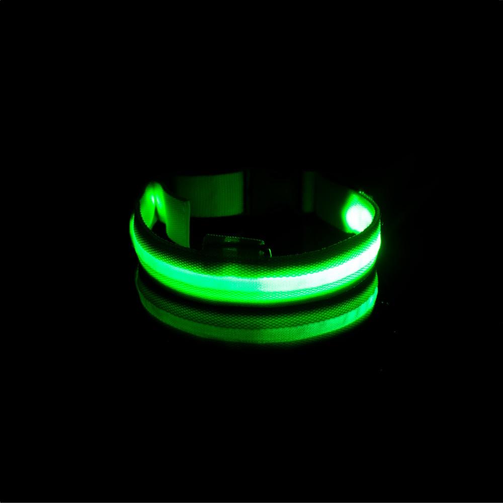 LedCollar™ - Collier à LED rechargeable pour chien - L'abc du Chien