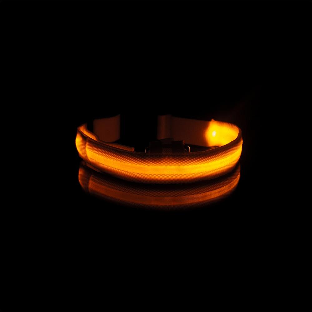 LedCollar™ - Collier à LED rechargeable pour chien - L'abc du Chien