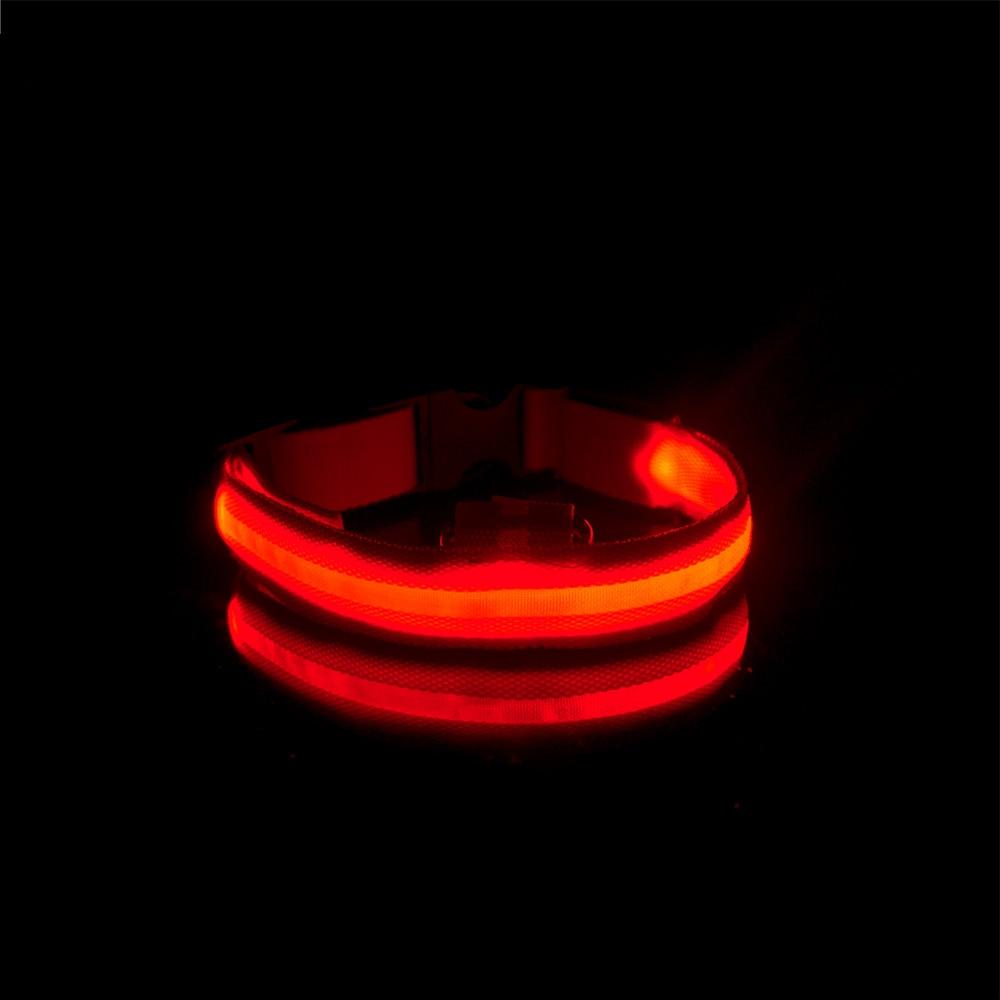 LedCollar™ - Collier à LED rechargeable pour chien - L'abc du Chien