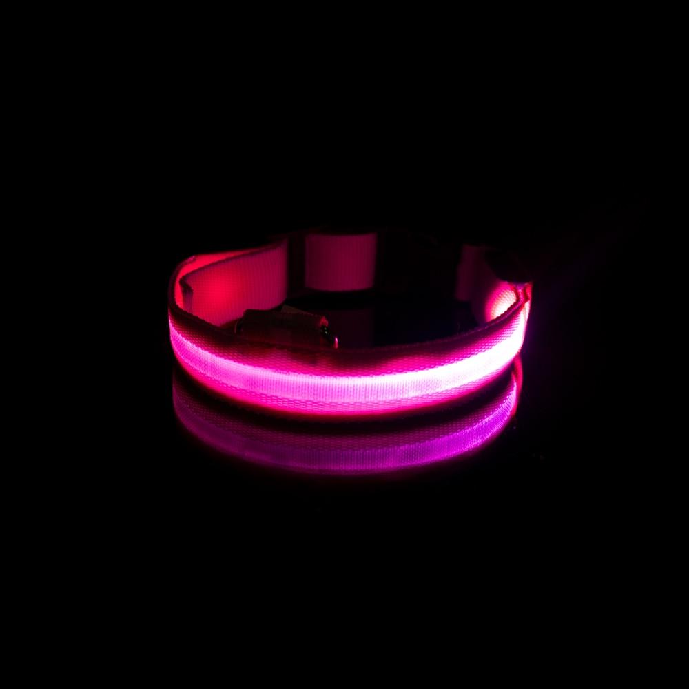 LedCollar™ - Collier à LED rechargeable pour chien - L'abc du Chien