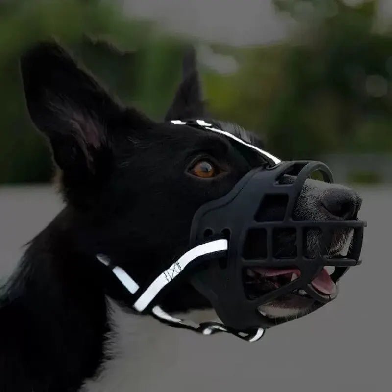 Anti - BarkDog™ - L'abc du Chien