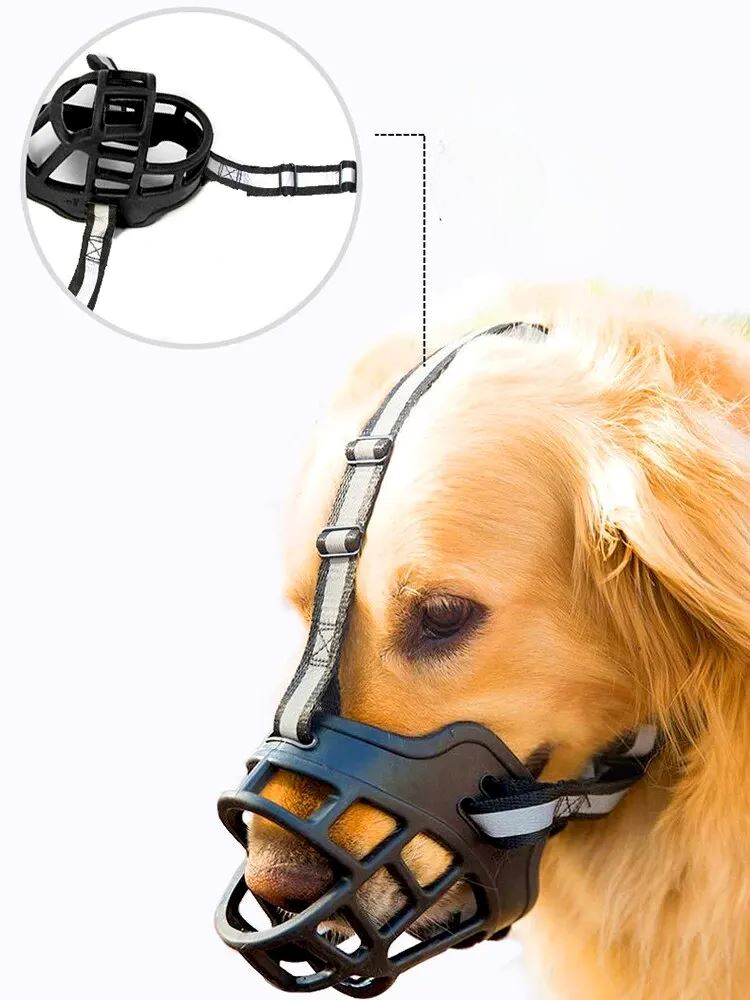 Anti - BarkDog™ - L'abc du Chien