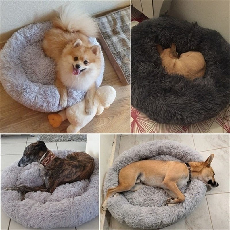 DoggyPouf™ - Coussin doux pour chien - L'abc du Chien