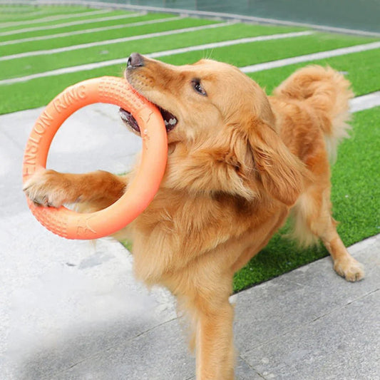 DogTrainingRing™ - L'abc du Chien