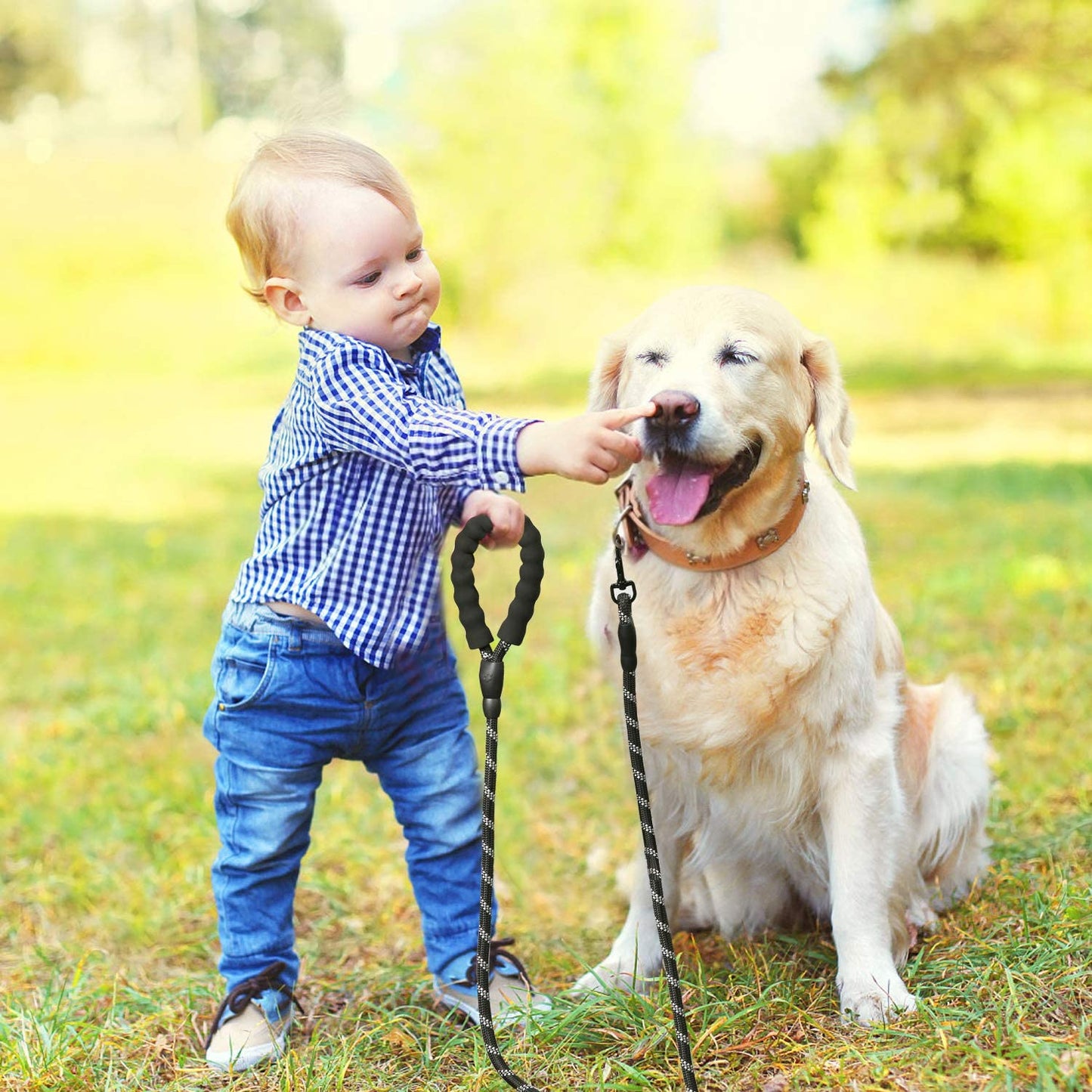 LaisseEduc™ - Corde en Nylon pour chien | Chien - L'abc du Chien