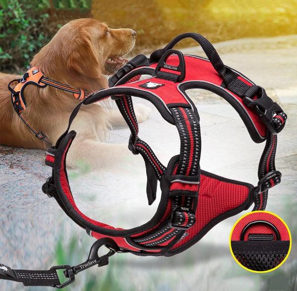 SafetyHarness™ - Harnais pour animal de compagnie - L'abc du Chien