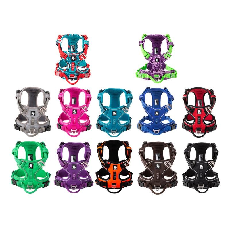 SafetyHarness™ - Harnais pour animal de compagnie - L'abc du Chien