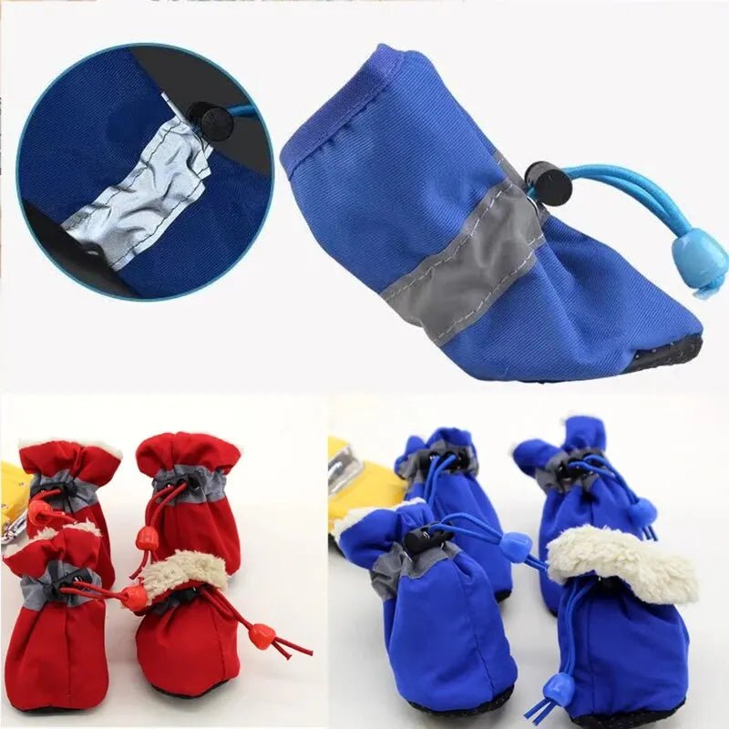 SetChiensWaterproofChaussettes™ - L'abc du Chien