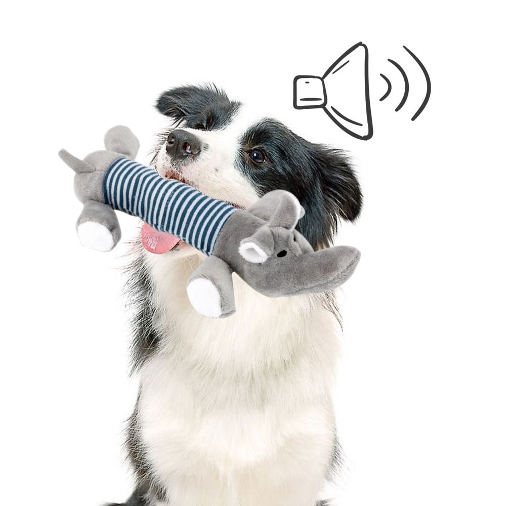 SoundToys™ - Jouet peluche pour chiens - L'abc du Chien